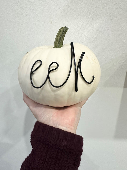 Eek pumpkin wire (4 colours)